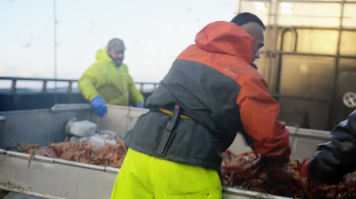 Deadliest Catch S19E04 WEB x264 TORRENTGALAXY