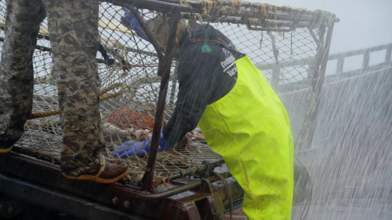 Deadliest Catch S19E04 Bering Sea Superstition 720p AMZN WEBRip DDP2 0 x264 NTb TGx