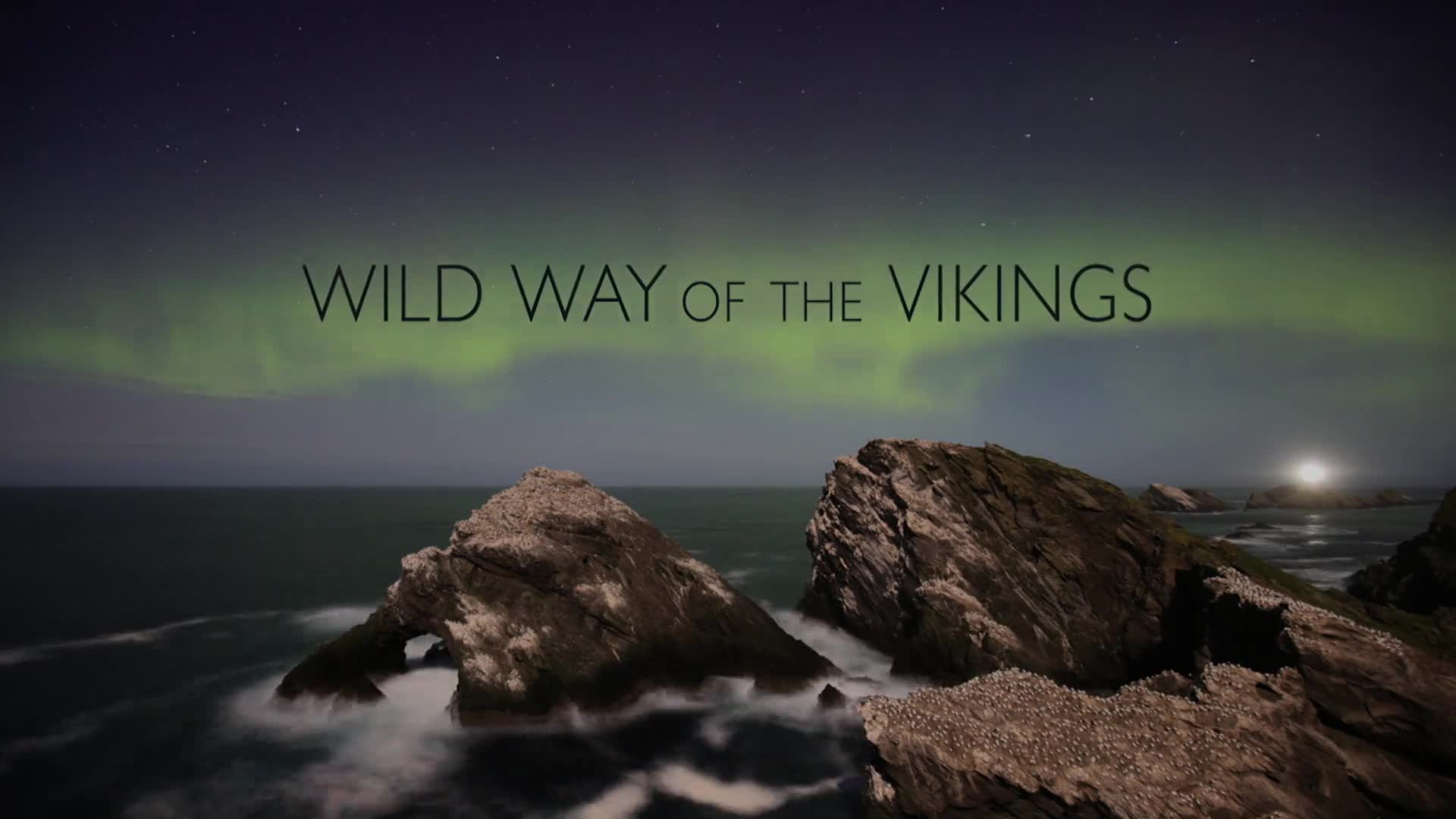 Wild Ways Of The Vikings 2019 1080p WEBRip x264 RARBG TGx