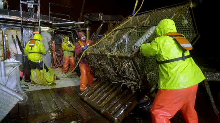 Deadliest Catch S19E05 WEB x264 TORRENTGALAXY