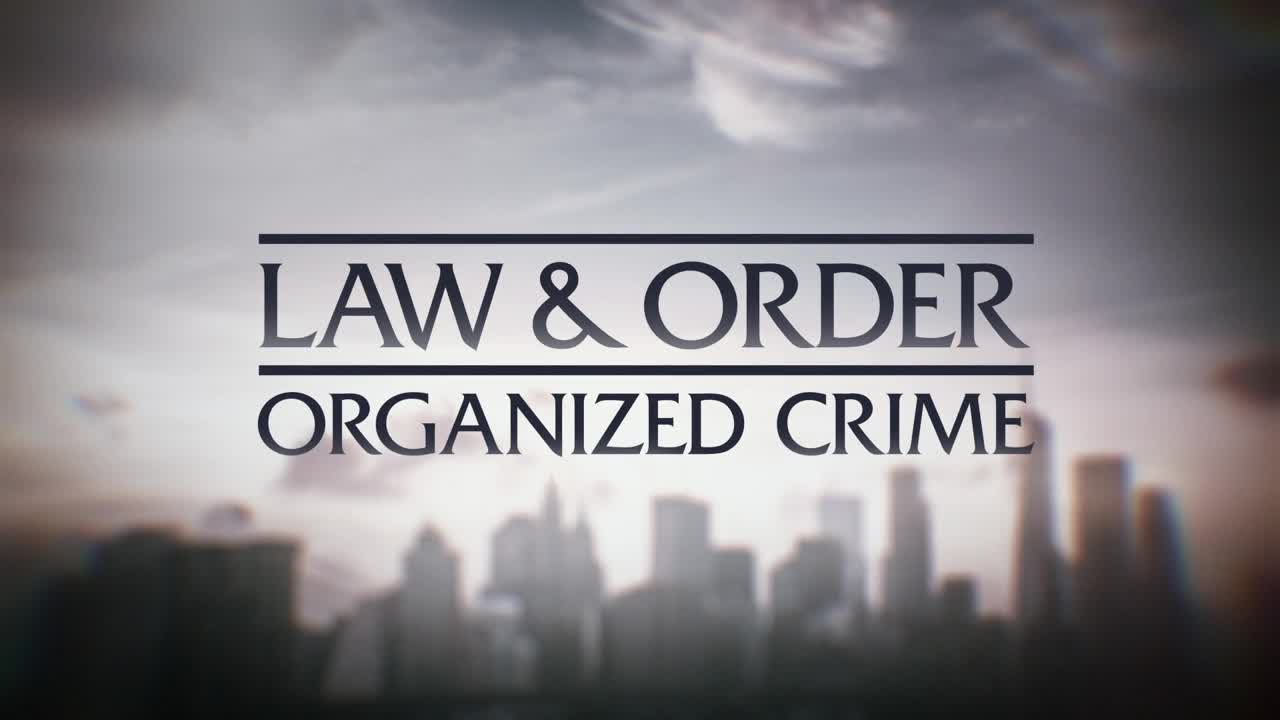 Law And Order Organized Crime S03E22 720p WEB h264 ELEANOR TGx