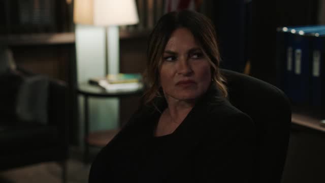Law And Order SVU S24E22 XviD AFG TGx