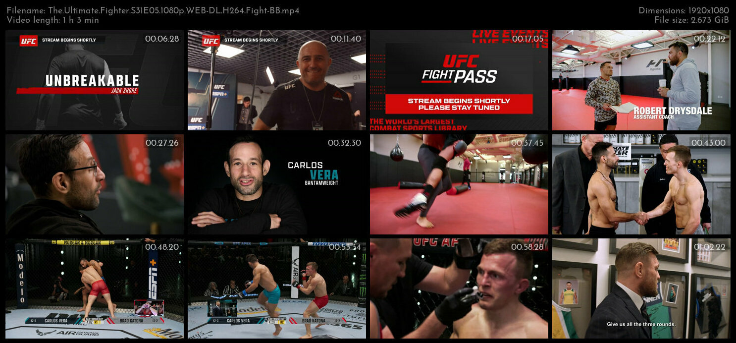 The Ultimate Fighter S31E05 1080p WEB DL H264 Fight BB