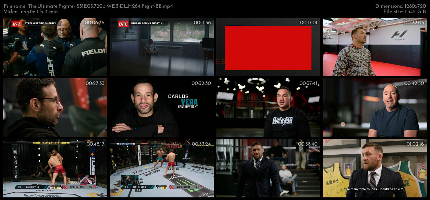 The Ultimate Fighter S31E05 720p WEB DL H264 Fight BB