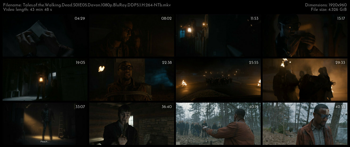 Tales of the Walking Dead S01E05 Davon 1080p BluRay DDP5 1 H 264 NTb TGx