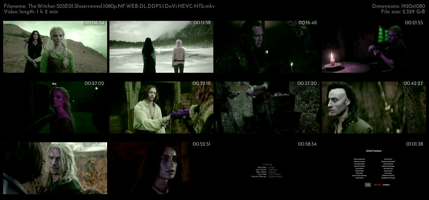 The Witcher S03E01 Shaerrawed 1080p NF WEB DL DDP5 1 DoVi HEVC NTb TGx