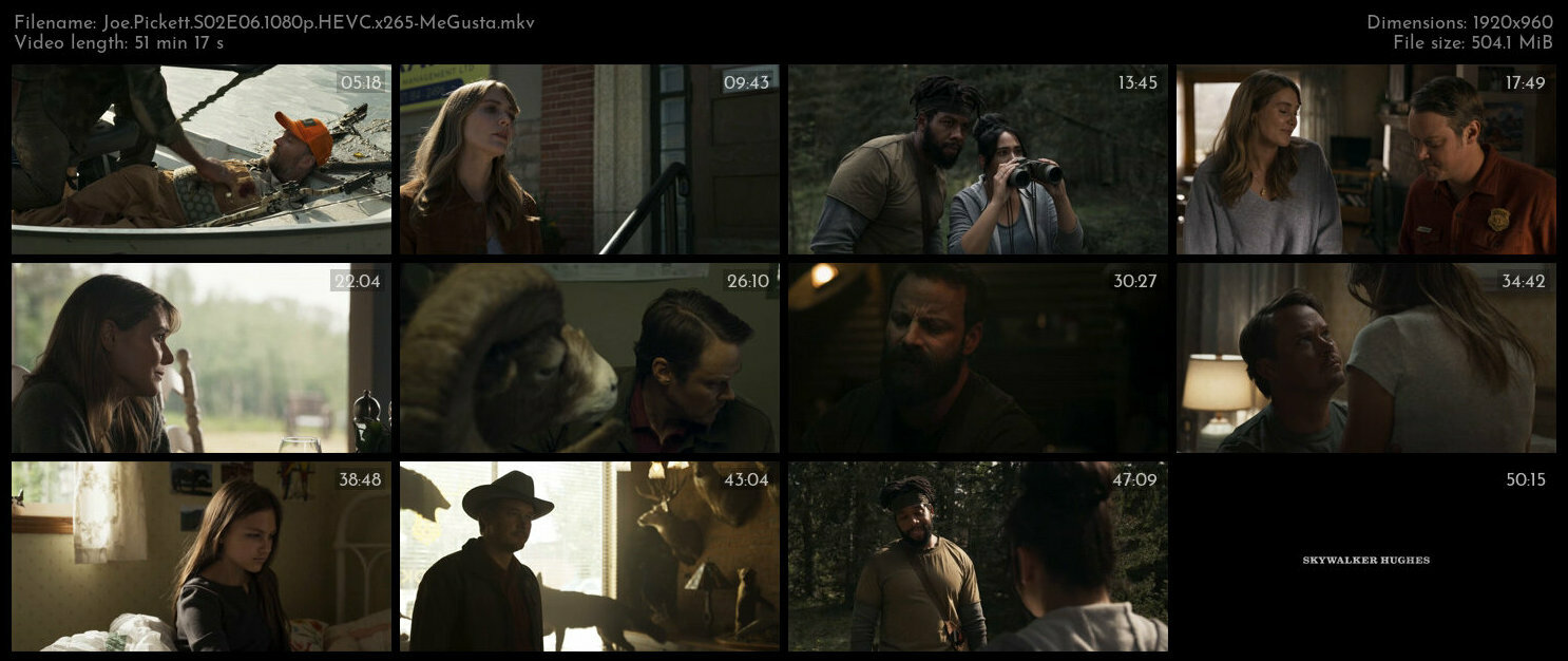 Joe Pickett S02E06 1080p HEVC x265 MeGusta TGx