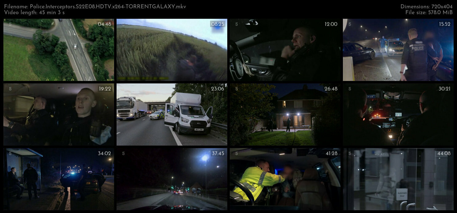 Police Interceptors S22E08 HDTV x264 TORRENTGALAXY