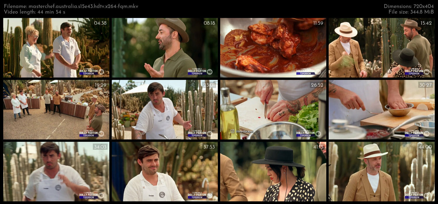 MasterChef Australia S15E43 HDTV x264 FQM TGx