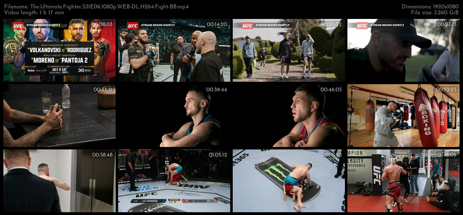 The Ultimate Fighter S31E06 1080p WEB DL H264 Fight BB
