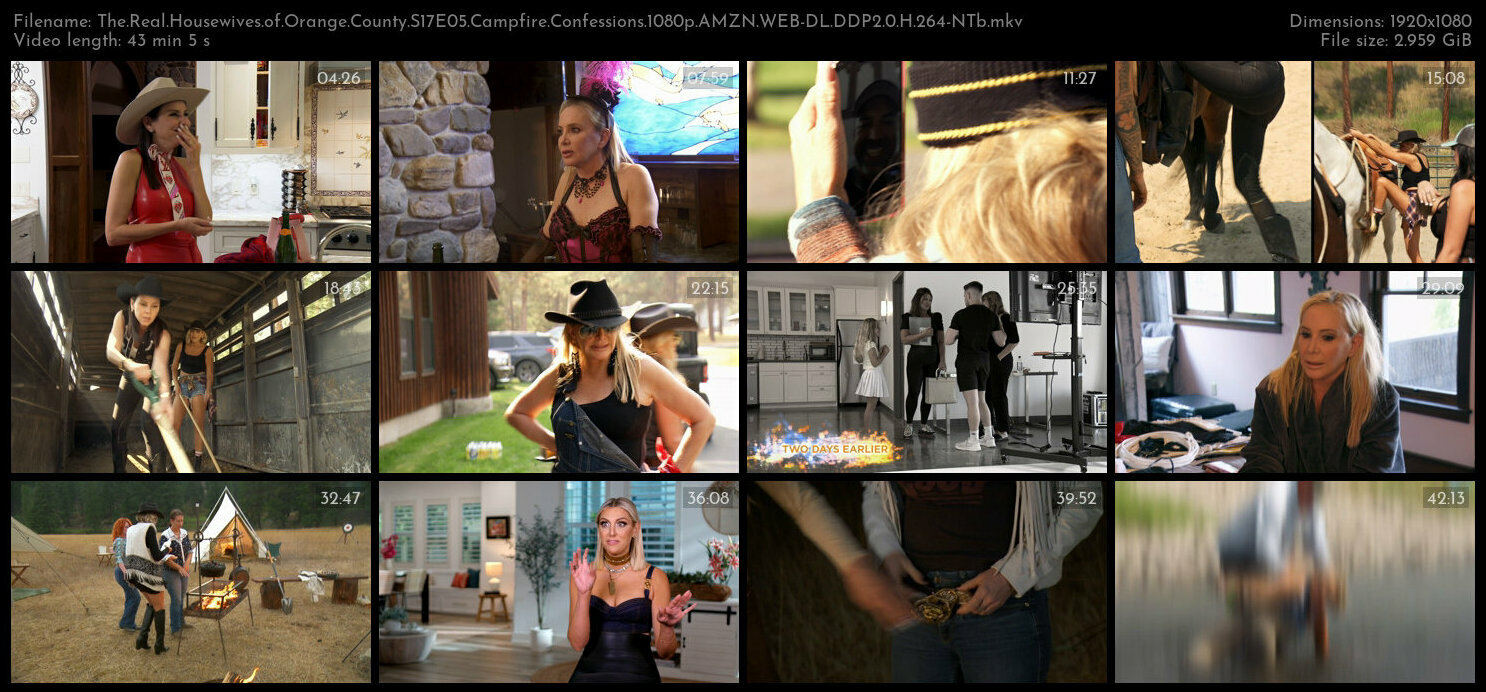 The Real Housewives of Orange County S17E05 Campfire Confessions 1080p AMZN WEB DL DDP2 0 H 264 NTb