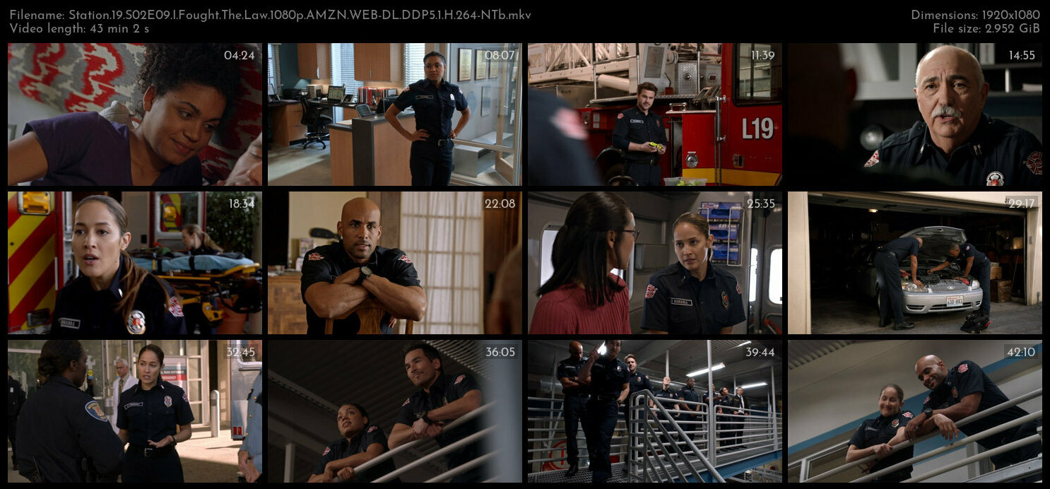 Station 19 S02E09 I Fought The Law 1080p AMZN WEB DL DDP5 1 H 264 NTb TGx