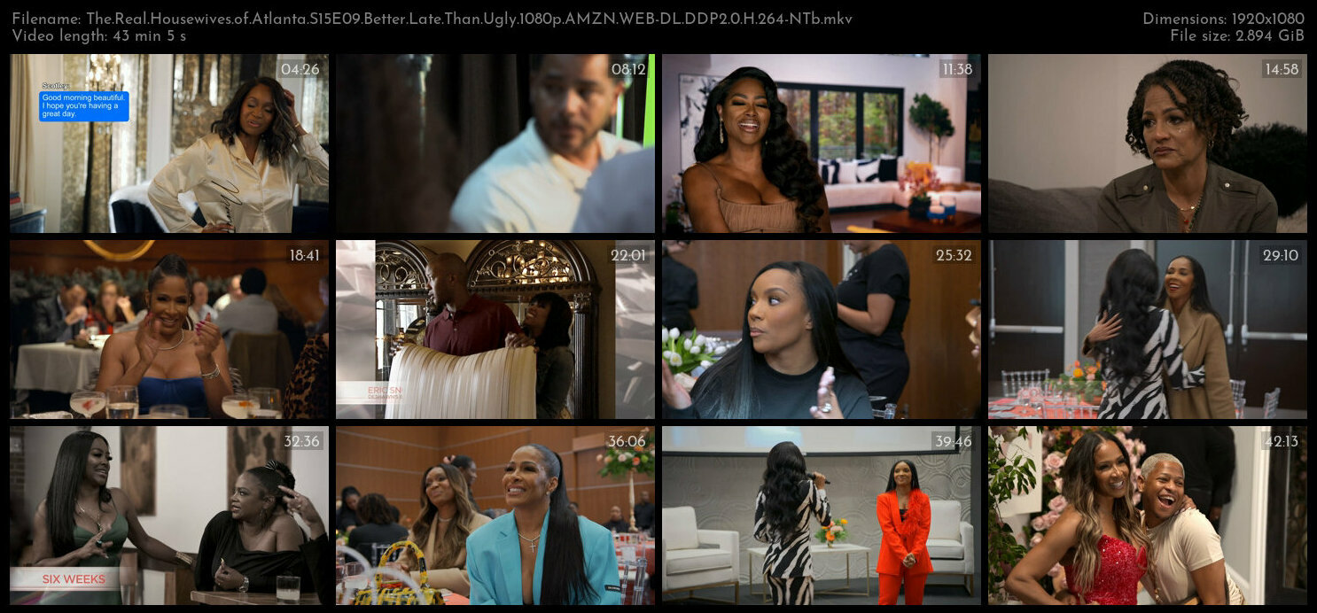 The Real Housewives of Atlanta S15E09 Better Late Than Ugly 1080p AMZN WEB DL DDP2 0 H 264 NTb TGx