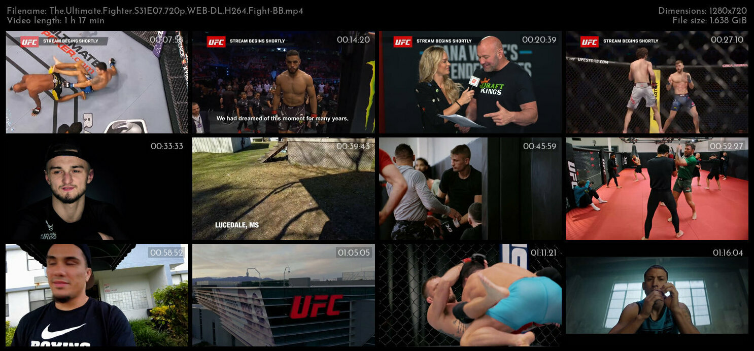 The Ultimate Fighter S31E07 720p WEB DL H264 Fight BB