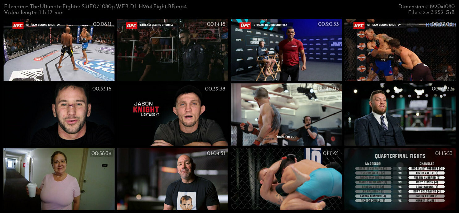 The Ultimate Fighter S31E07 1080p WEB DL H264 Fight BB