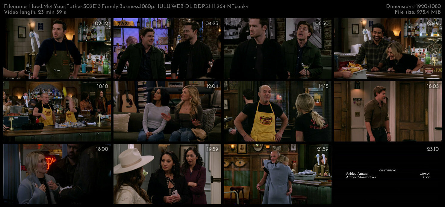 How I Met Your Father S02E13 Family Business 1080p HULU WEB DL DDP5 1 H 264 NTb TGx