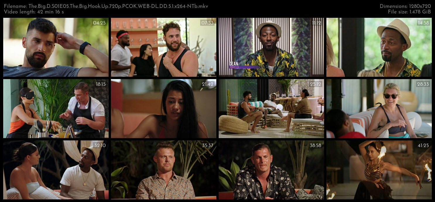 The Big D S01E05 The Big Hook Up 720p PCOK WEB DL DD 5 1 x264 NTb TGx