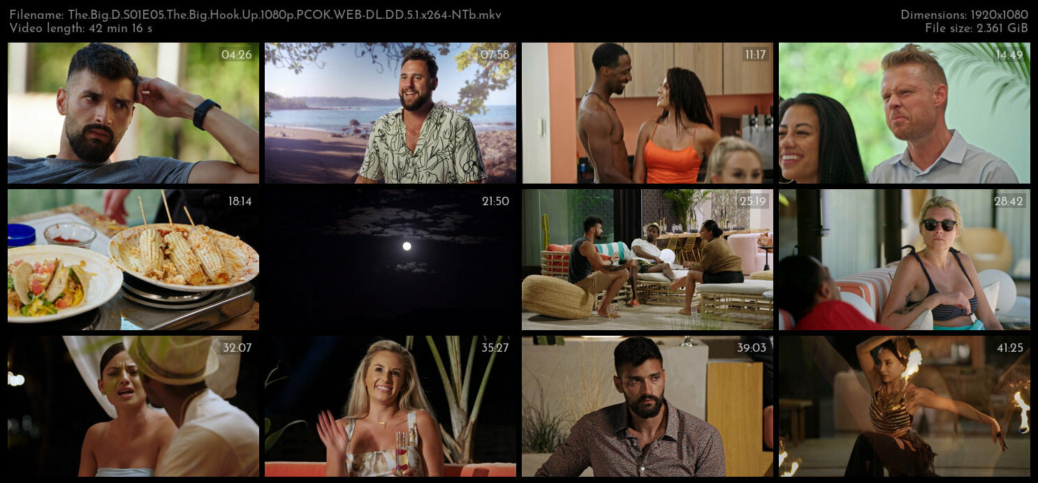 The Big D S01E05 The Big Hook Up 1080p PCOK WEB DL DD 5 1 x264 NTb TGx