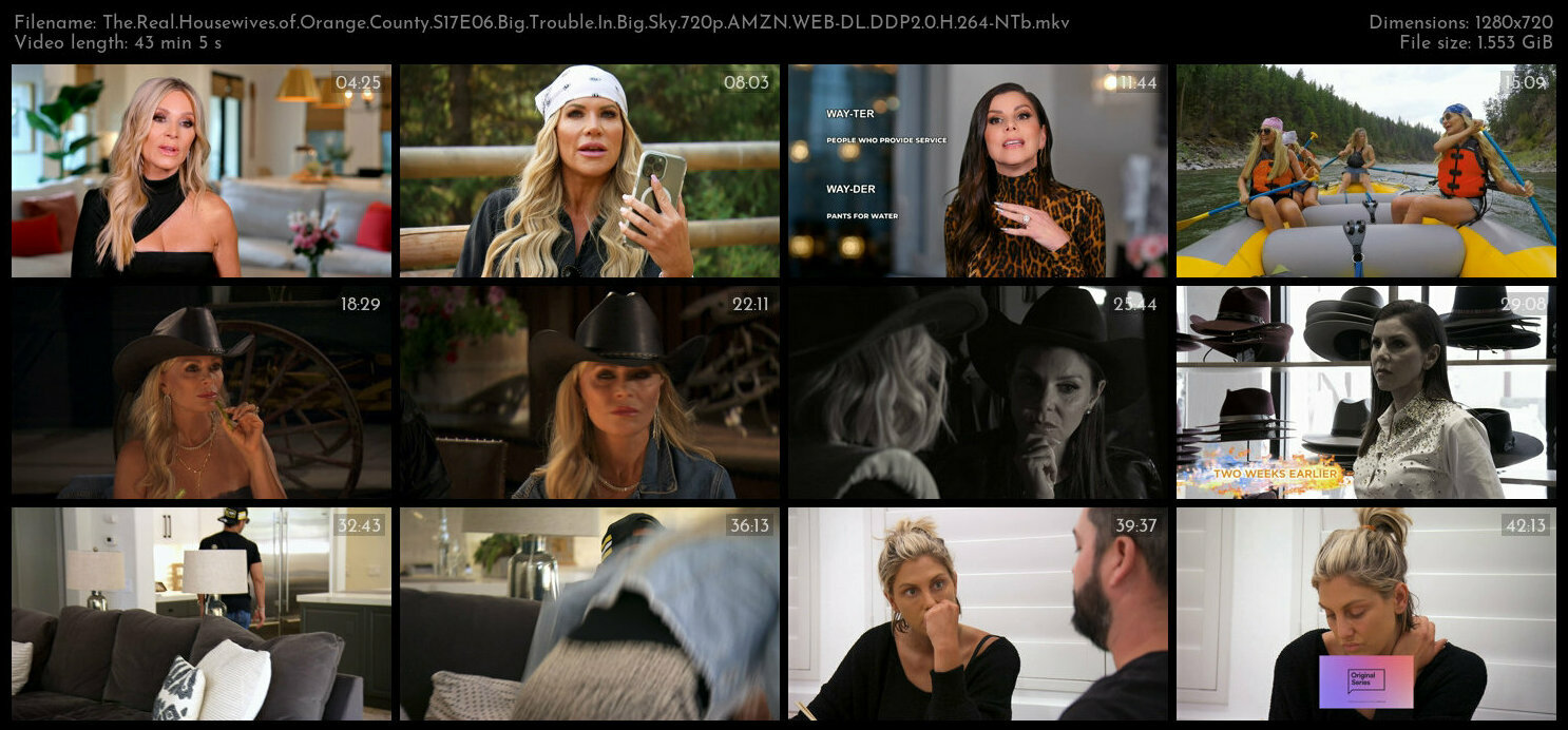 The Real Housewives of Orange County S17E06 Big Trouble In Big Sky 720p AMZN WEB DL DDP2 0 H 264 NTb