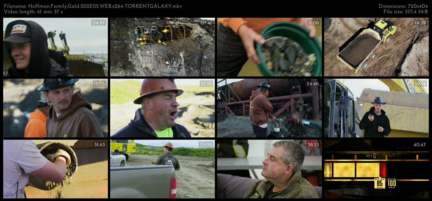 Hoffman Family Gold S02E05 WEB x264 TORRENTGALAXY