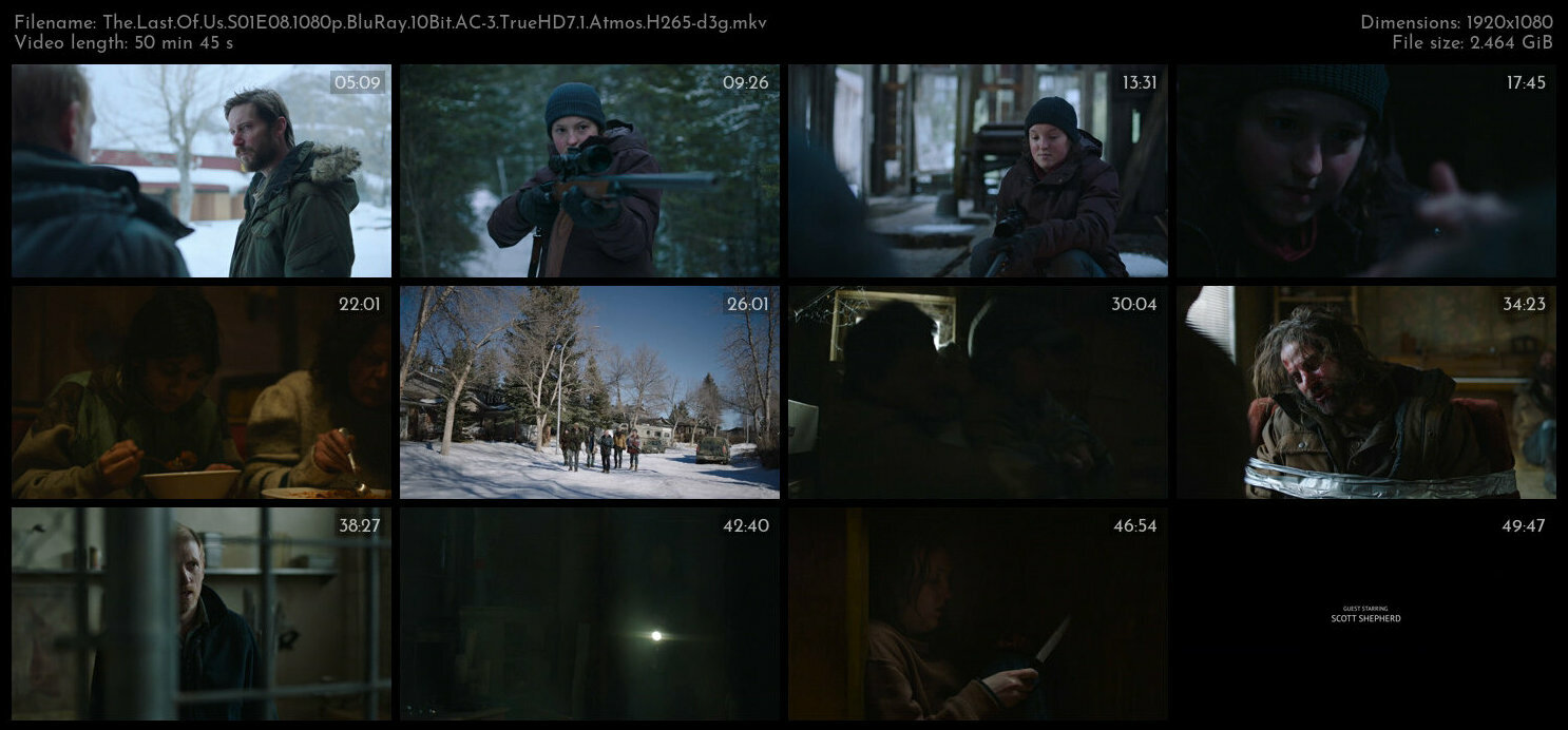 The Last Of Us S01E08 1080p BluRay 10Bit AC 3 TrueHD7 1 Atmos H265 d3g TGx