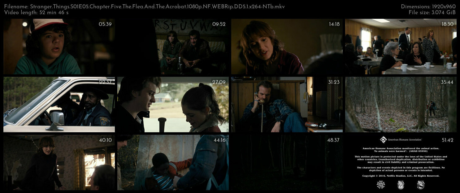 Stranger Things S01E05 Chapter Five The Flea And The Acrobat 1080p NF WEBRip DD5 1 x264 NTb TGx