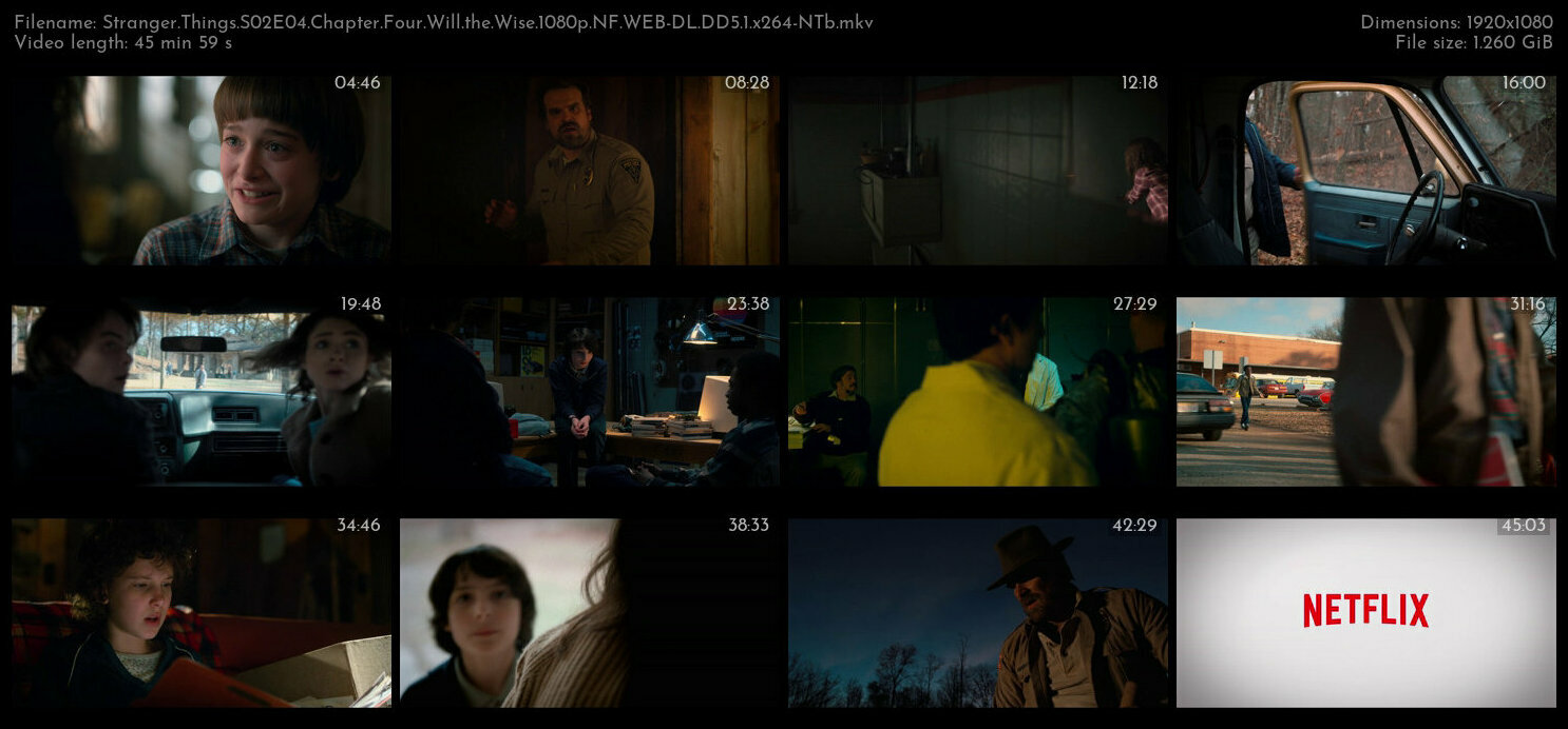 Stranger Things S02E04 Chapter Four Will the Wise 1080p NF WEB DL DD5 1 x264 NTb TGx