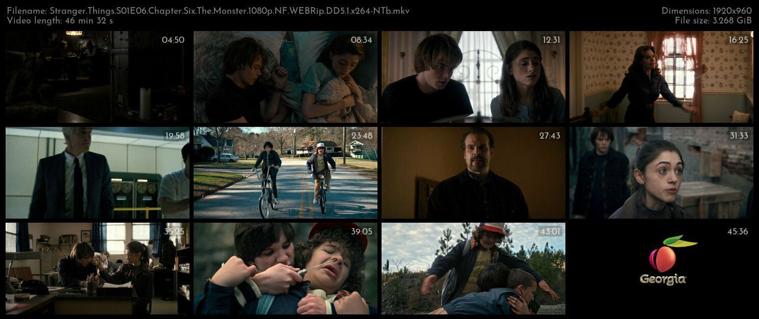 Stranger Things S01E06 Chapter Six The Monster 1080p NF WEBRip DD5 1 x264 NTb TGx