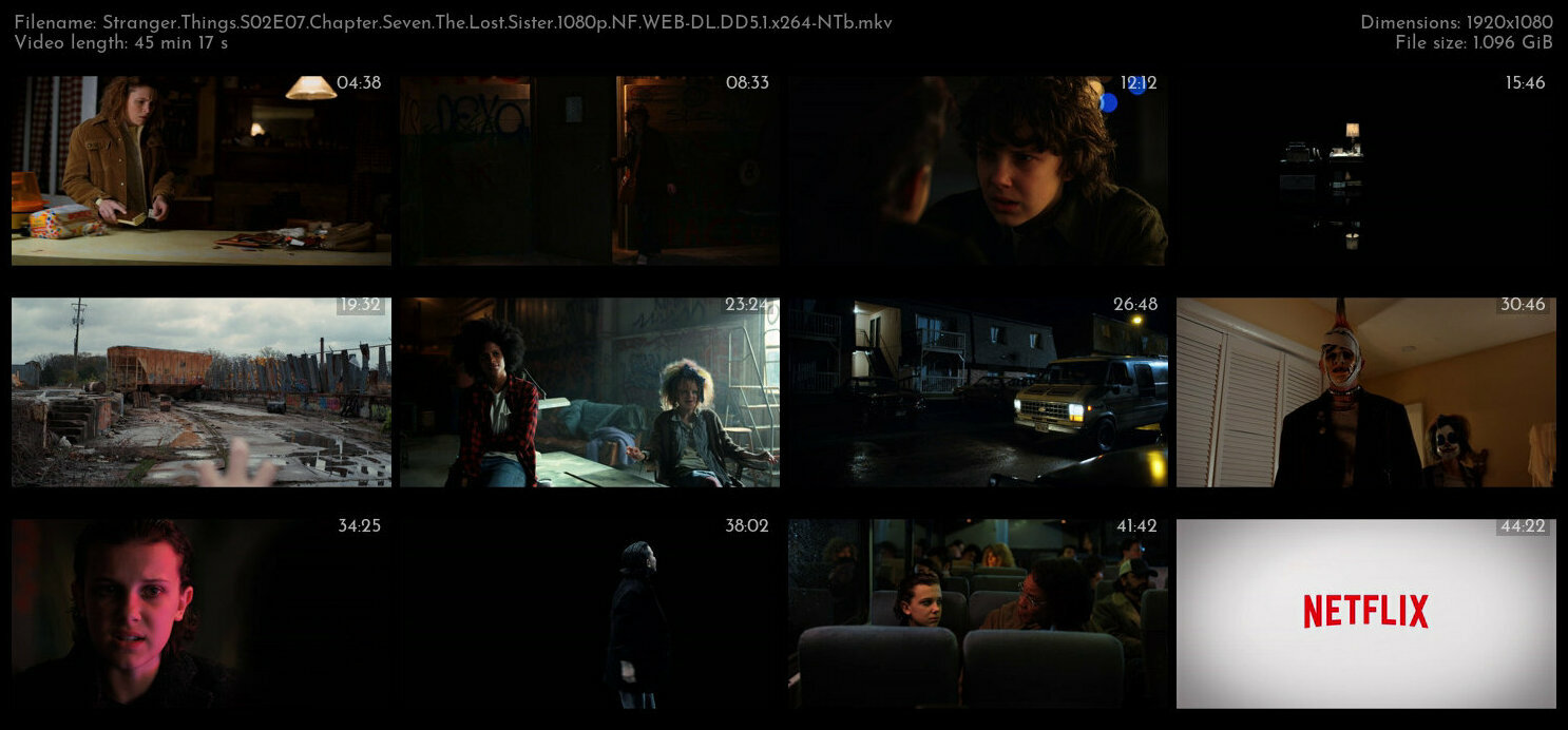 Stranger Things S02E07 Chapter Seven The Lost Sister 1080p NF WEB DL DD5 1 x264 NTb TGx