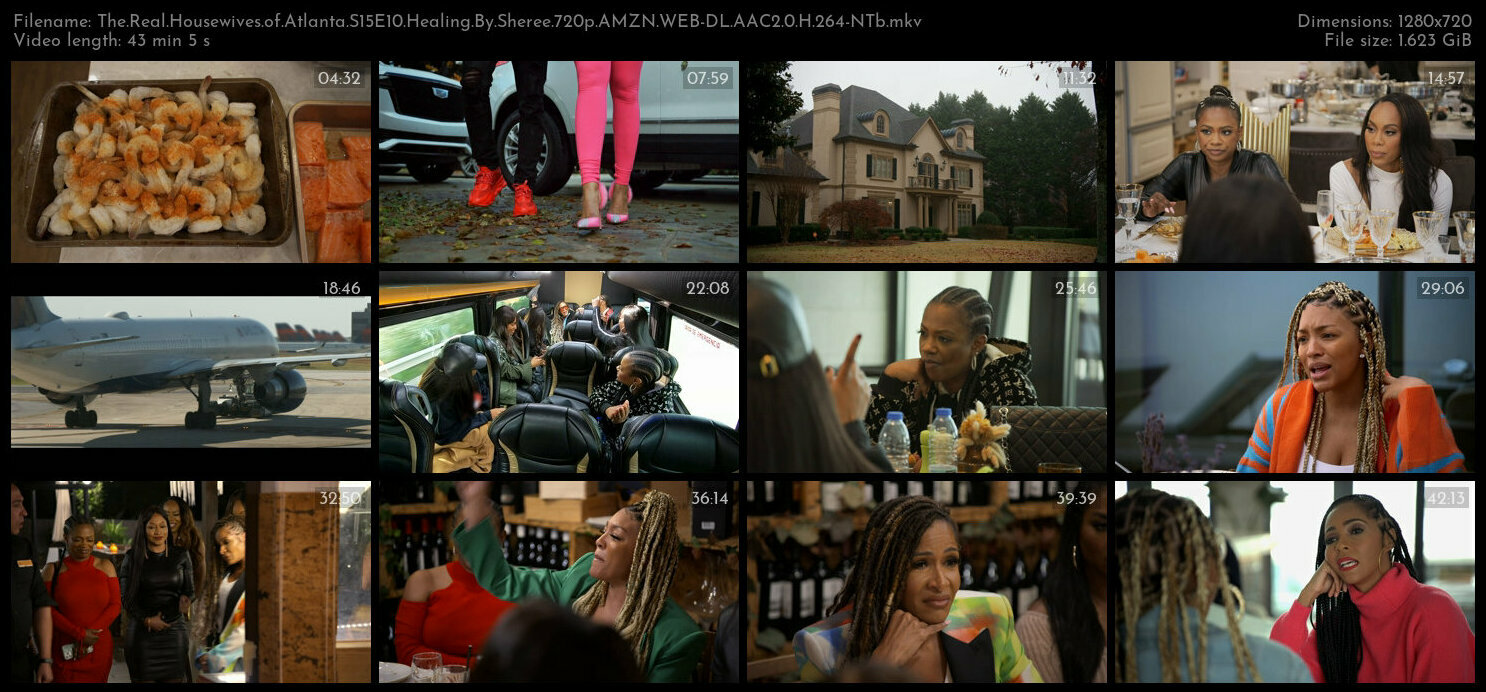 The Real Housewives of Atlanta S15E10 Healing By Sheree 720p AMZN WEB DL AAC2 0 H 264 NTb TGx