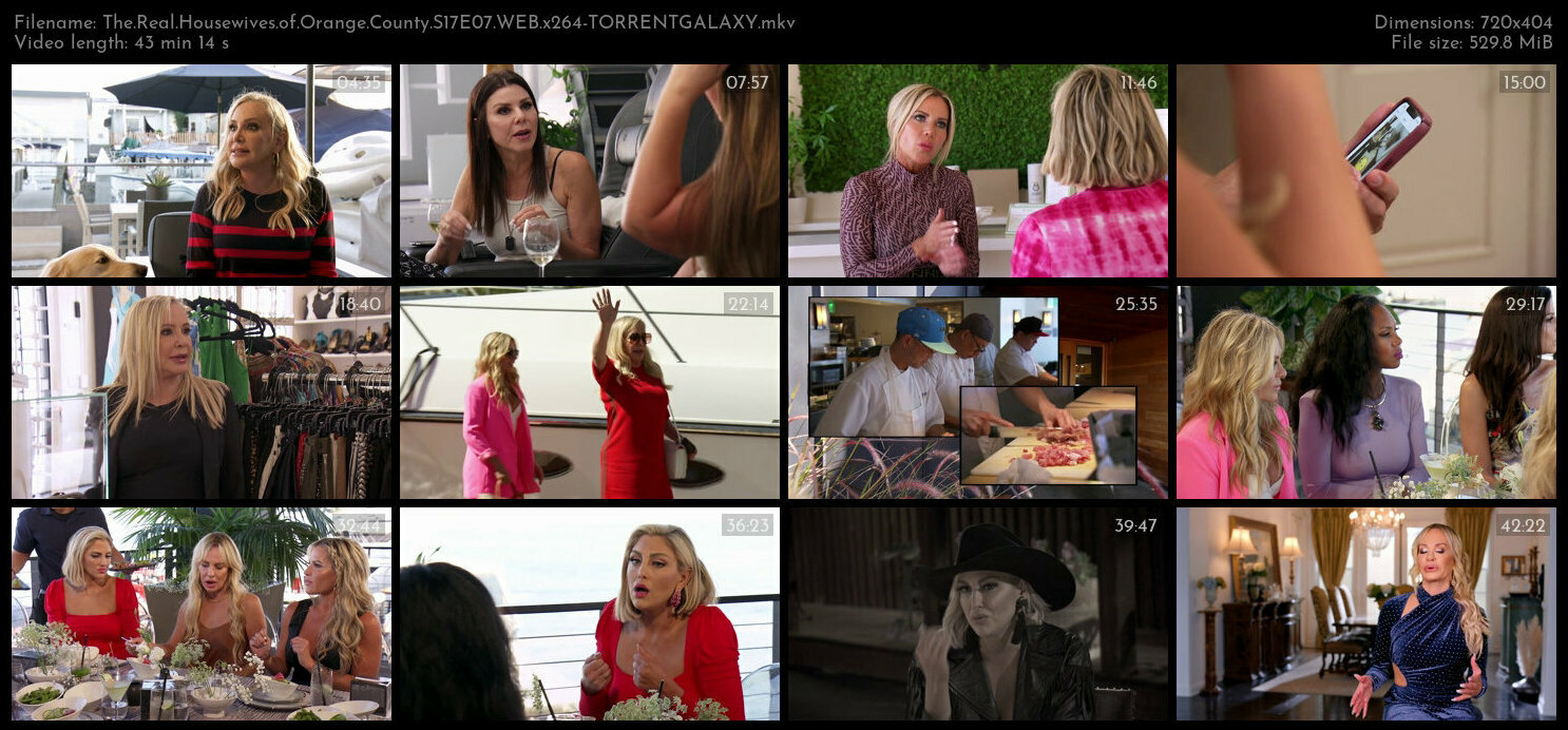 The Real Housewives of Orange County S17E07 WEB x264 TORRENTGALAXY