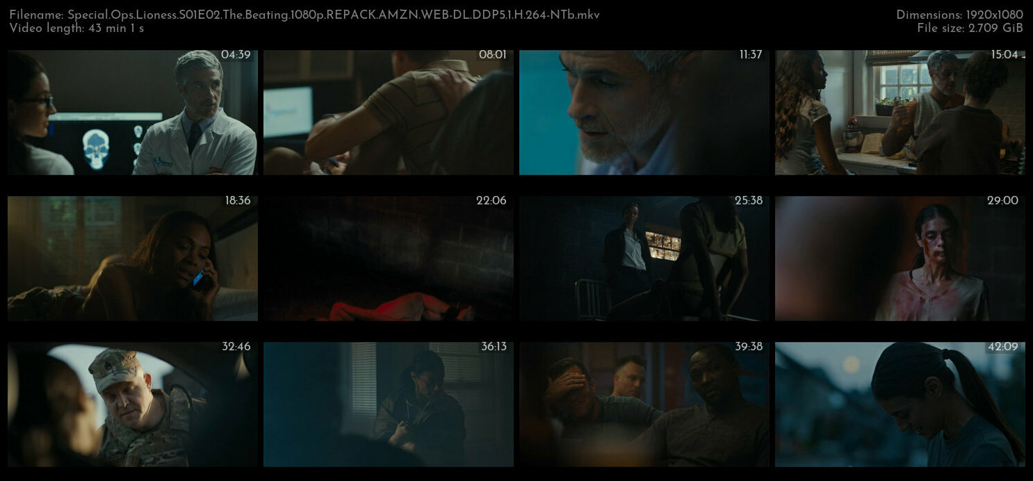 Special Ops Lioness S01E02 The Beating 1080p REPACK AMZN WEB DL DDP5 1 H 264 NTb TGx