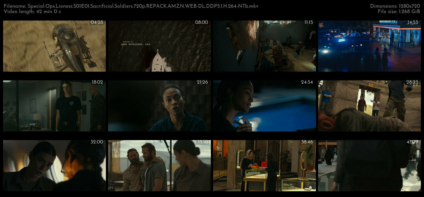 Special Ops Lioness S01E01 Sacrificial Soldiers 720p REPACK AMZN WEB DL DDP5 1 H 264 NTb TGx