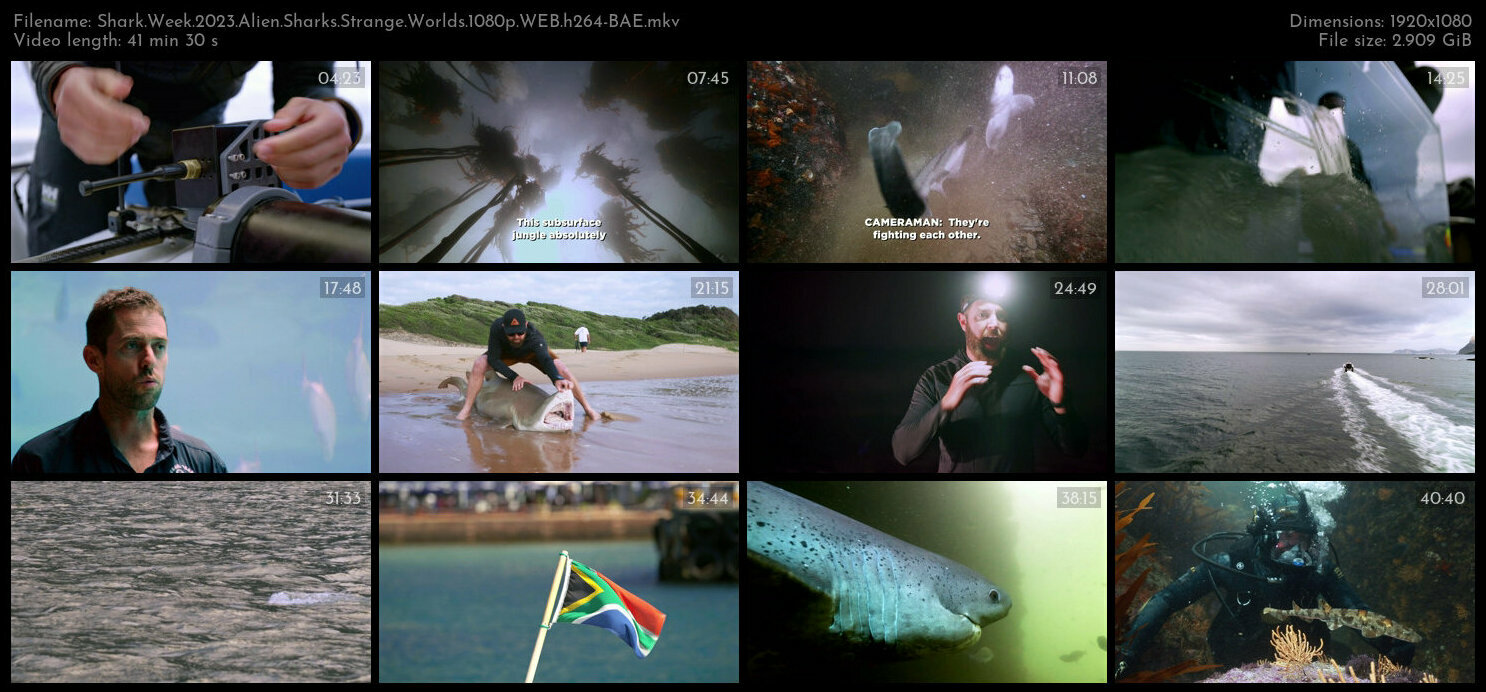 Shark Week 2023 Alien Sharks Strange Worlds 1080p WEB h264 BAE TGx