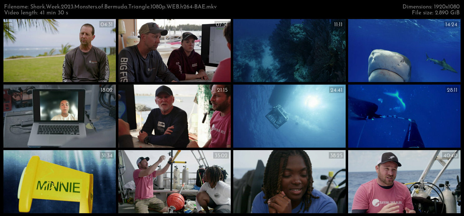 Shark Week 2023 Monsters of Bermuda Triangle 1080p WEB h264 BAE TGx