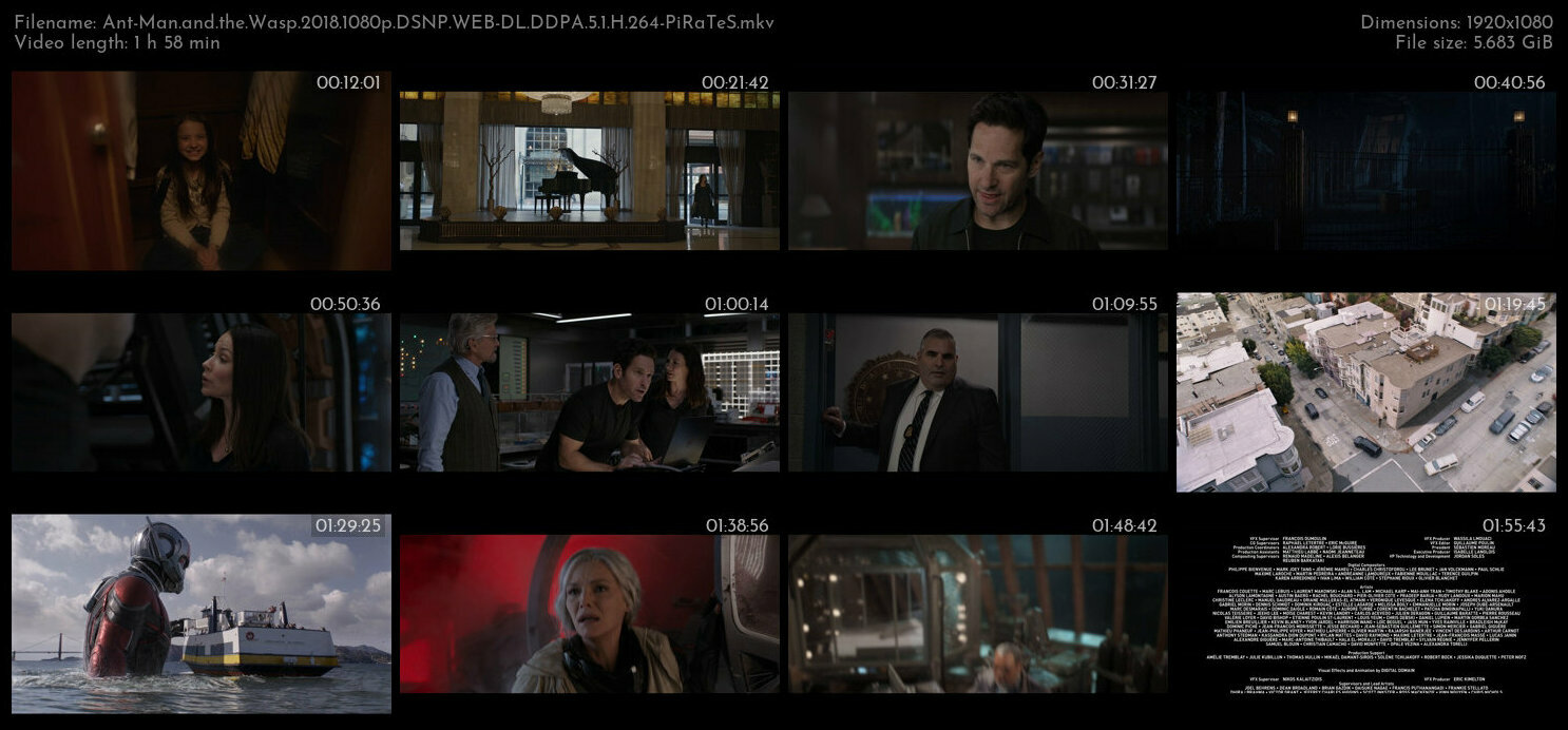 Ant Man and the Wasp 2018 1080p DSNP WEB DL DDPA 5 1 H 264 PiRaTeS TGx
