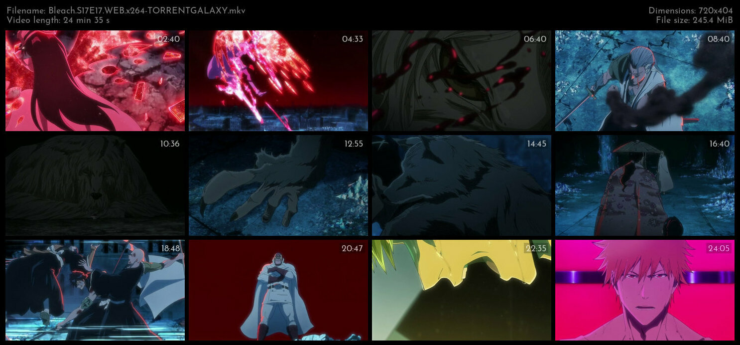 Bleach S17E17 WEB x264 TORRENTGALAXY