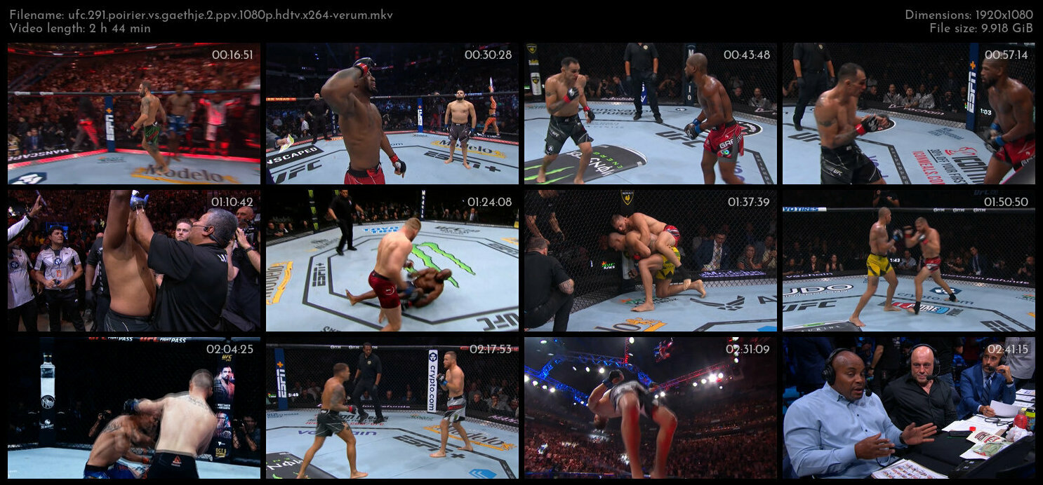 UFC 291 Poirier vs Gaethje 2 PPV 1080p HDTV x264 VERUM TGx