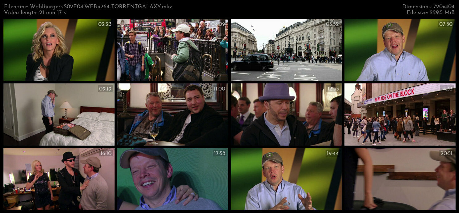 Wahlburgers S02E04 WEB x264 TORRENTGALAXY