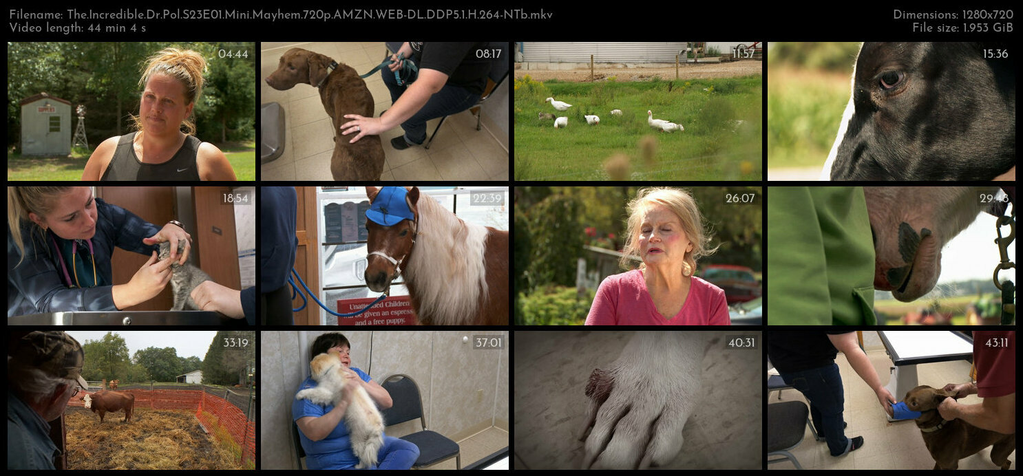 The Incredible Dr Pol S23E01 Mini Mayhem 720p AMZN WEB DL DDP5 1 H 264 NTb TGx