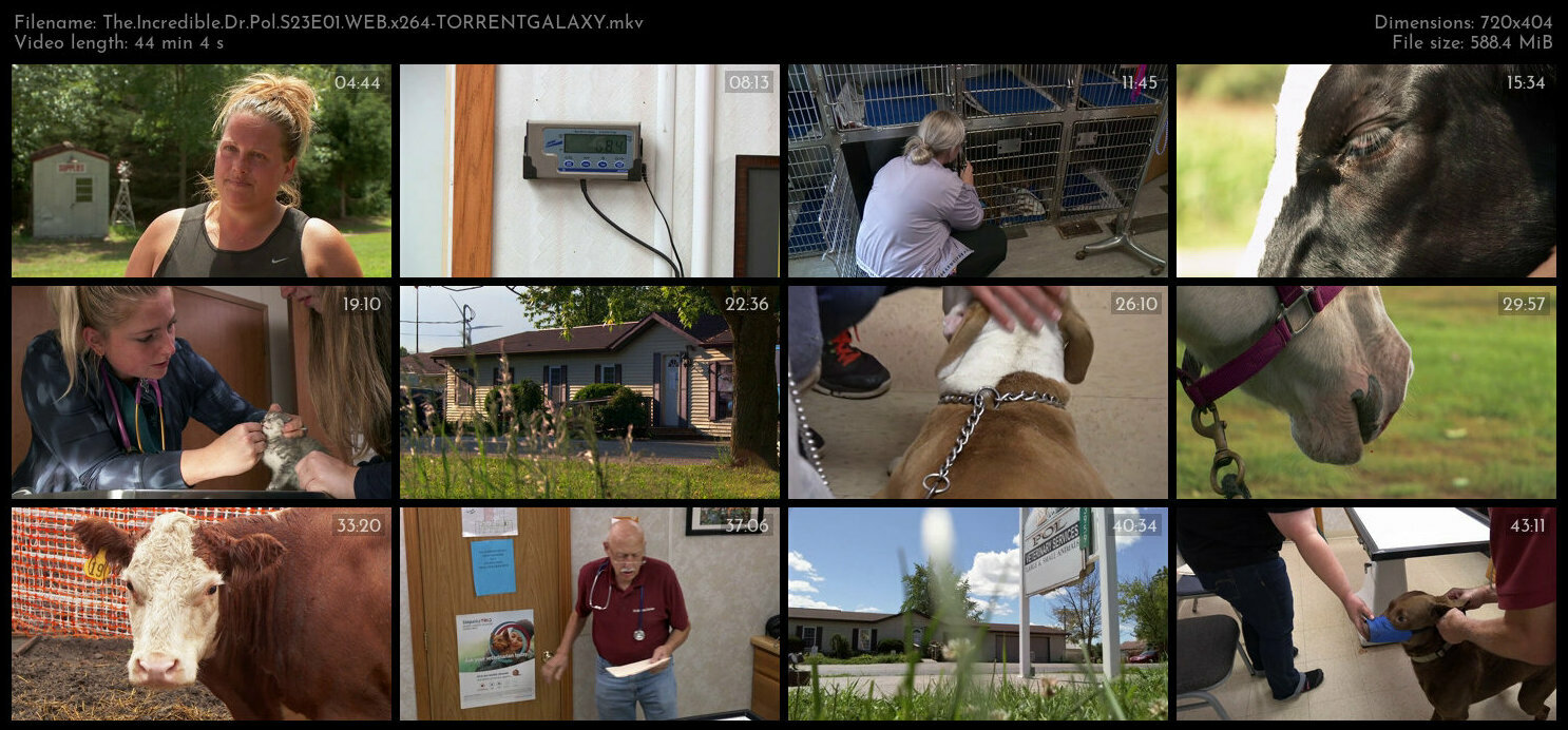 The Incredible Dr Pol S23E01 WEB x264 TORRENTGALAXY