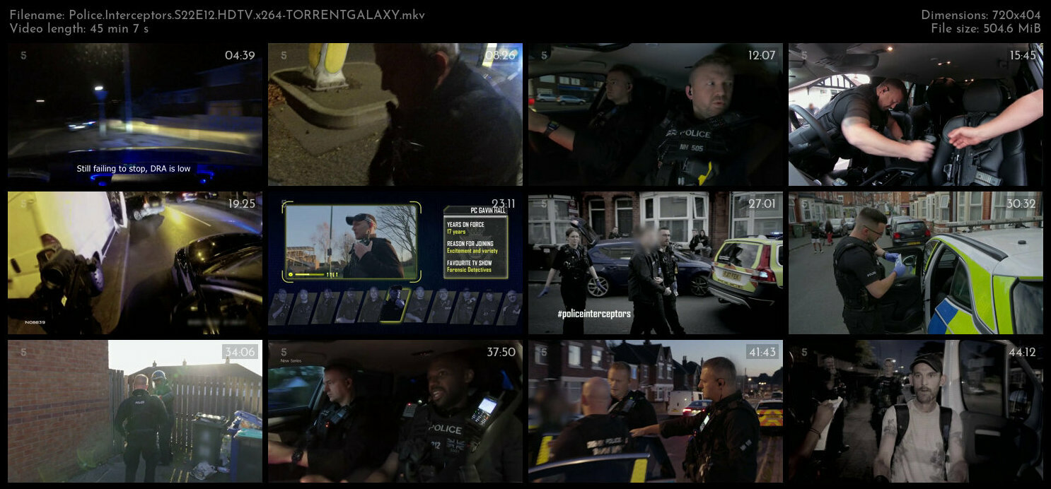 Police Interceptors S22E12 HDTV x264 TORRENTGALAXY