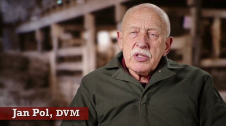 The Incredible Dr Pol S23E01 WEB x264 TORRENTGALAXY