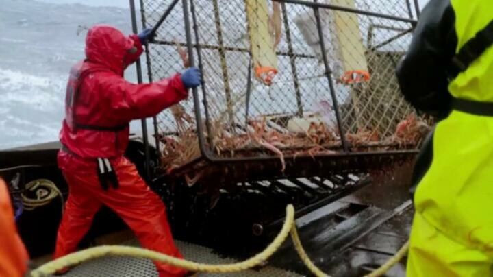 Deadliest Catch S19E14 WEB x264 TORRENTGALAXY