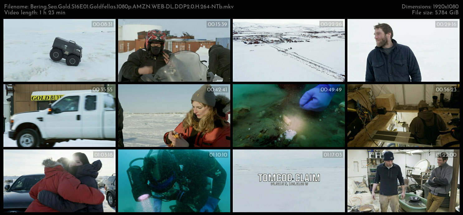 Bering Sea Gold S16E01 Goldfellas 1080p AMZN WEB DL DDP2 0 H 264 NTb TGx