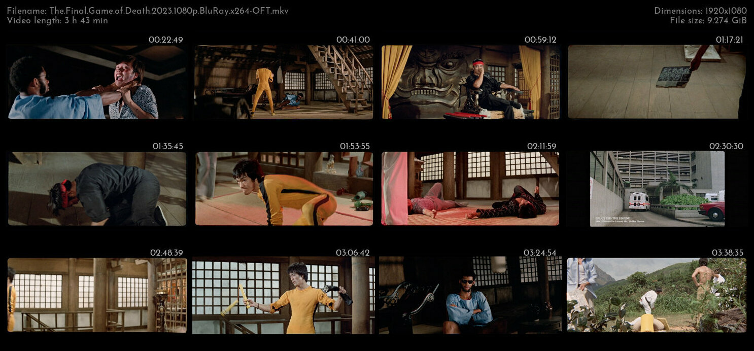 The Final Game of Death 2023 1080p BluRay x264 OFT TGx