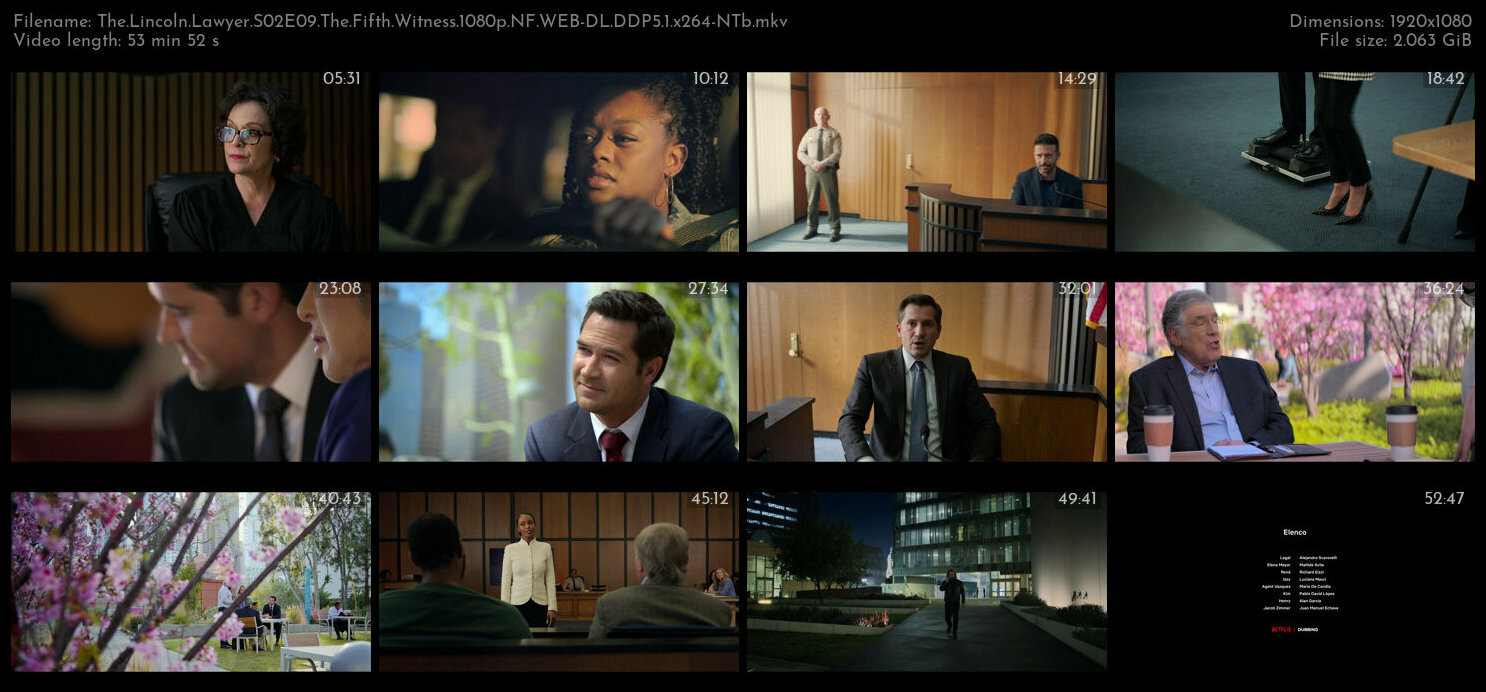 The Lincoln Lawyer S02E09 The Fifth Witness 1080p NF WEB DL DDP5 1 x264 NTb TGx