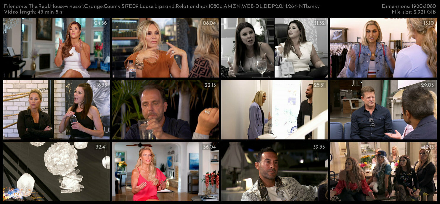 The Real Housewives of Orange County S17E09 Loose Lips and Relationships 1080p AMZN WEB DL DDP2 0 H