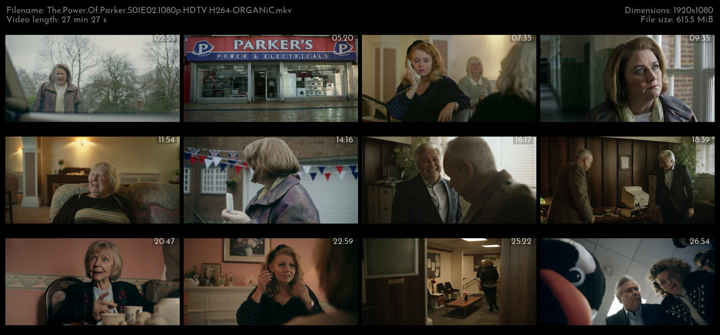 The Power Of Parker S01E02 1080p HDTV H264 ORGANiC TGx