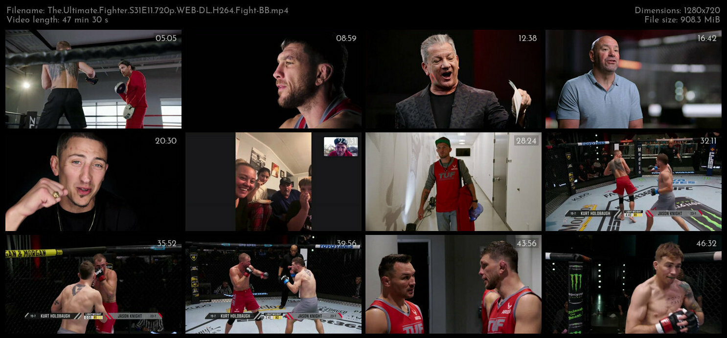 The Ultimate Fighter S31E11 720p WEB DL H264 Fight BB